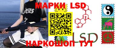 прущие грибы Краснознаменск