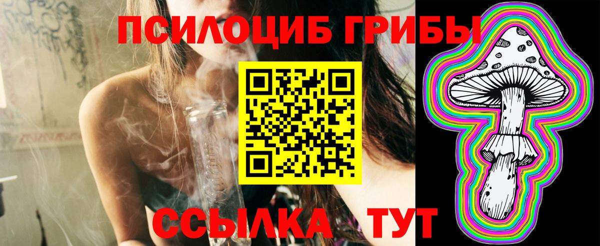 Галлюциногенные грибы мухоморы Кингисепп
