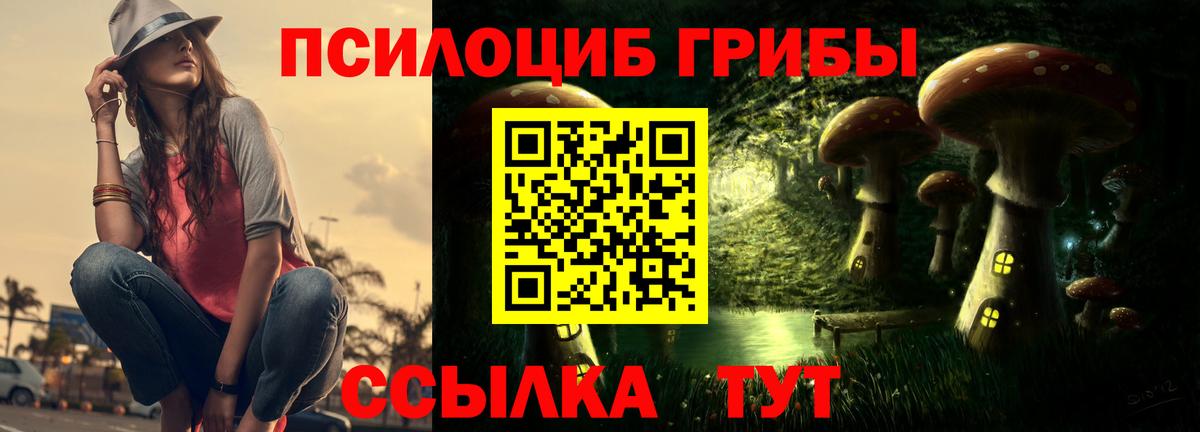 Галлюциногенные грибы Cubensis  Вход с VPN  Кингисепп  Галлюциногенные грибы Cubensis 