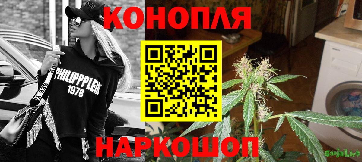 Кингисепп  Бошки марихуана ГИДРОПОН  Вход с VPN  Канабис планчик  Бошки Шишки MAZAR 